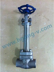 API forged Stainless steel bonnet weld gate valve